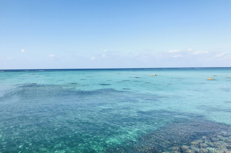 海の写真